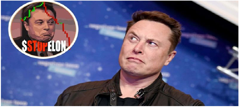 StopElon crypto to stop Elon Musk 