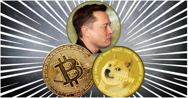 Elon Doge Bit