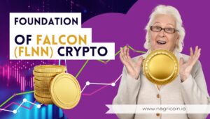 Foundation Of Falcon (FLNN) Crypto