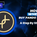 How And Where To Buy PandoProject