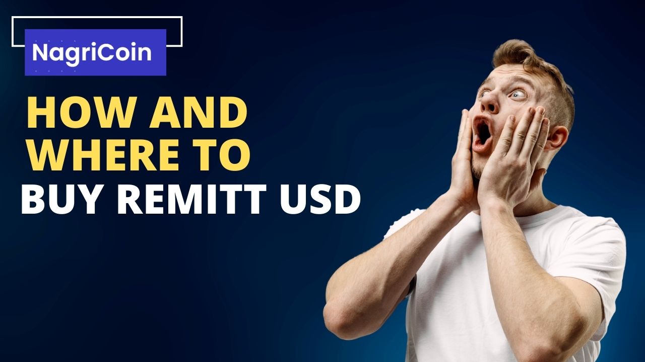 How And Where To Buy Remitt USD