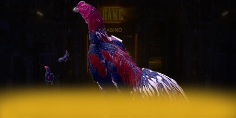 LC88 - Tóm tắt nội dung từ trải nghiệm thực tế. LC88 - Tóm tắt nội dung từ trải nghiệm thực tế.