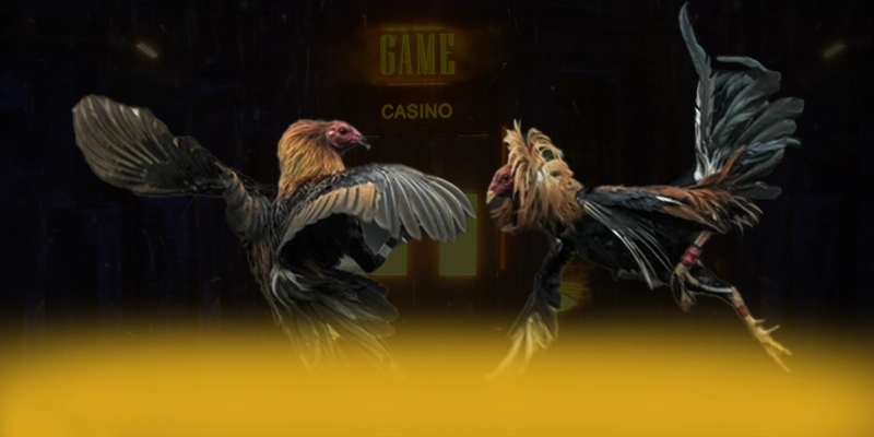 LC88 - Cổng giải trí với chính sách tặng thưởng đẳng cấp được yêu thích hàng đầu – Săn ngay LC88 LC88 - Cổng giải trí với chính sách tặng thưởng đẳng cấp được yêu thích hàng đầu – Săn ngay LC88