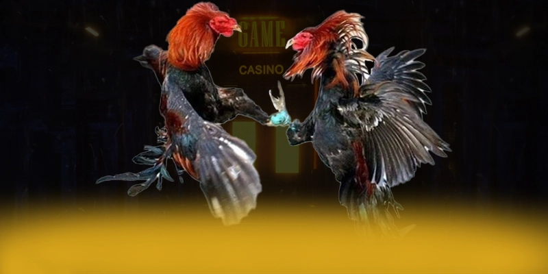 LC88 - Sân chơi với hệ thống bảo mật hiện đại được cộng đồng game thủ công nhận – Khám phá sự an toàn và minh bạch tại LC88 LC88 - Sân chơi với hệ thống bảo mật hiện đại được cộng đồng game thủ công nhận – Khám phá sự an toàn và minh bạch tại LC88