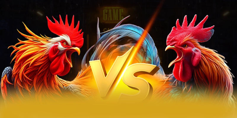 GO8 - Cổng game bài được đánh giá cao về độ tin cậy được yêu thích hàng đầu – Đánh giá GO8