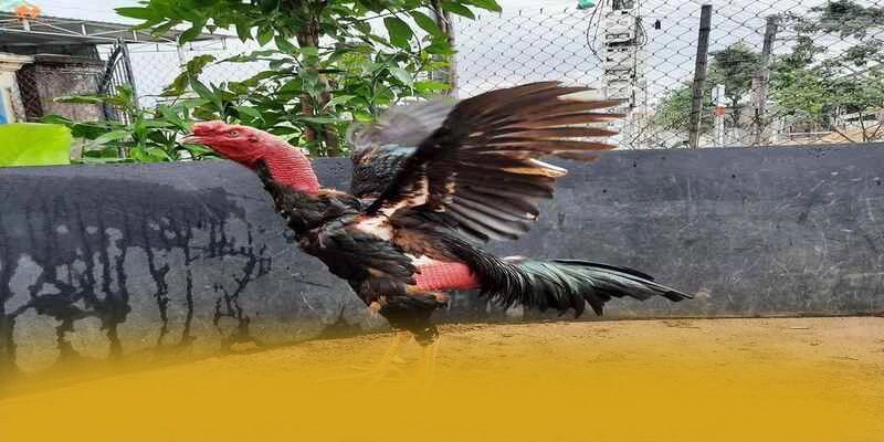 
Cùng trải nghiệm GEM88 - Cổng game bài được yêu thích nhất được quan tâm
