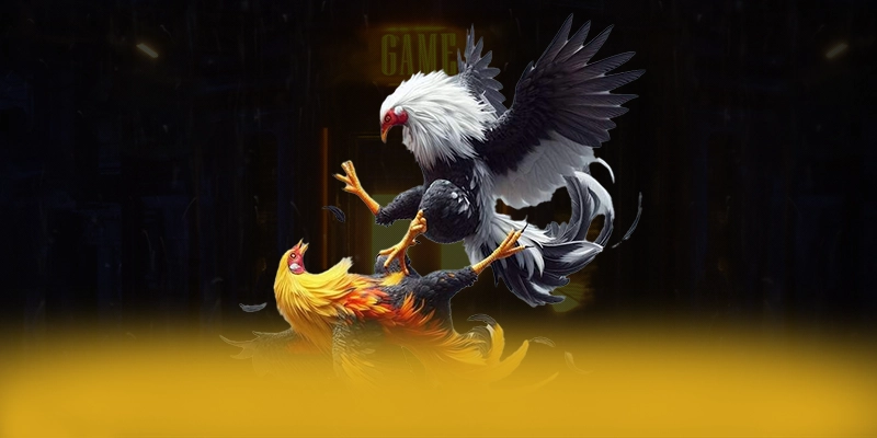 
Tìm hiểu GO8 - Trang game uy tín số 1 trên thị trường
