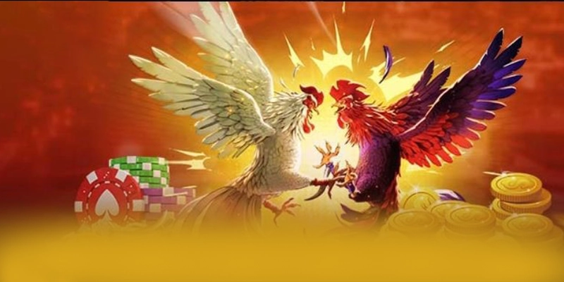 GO8 - Sân chơi với chương trình tri ân lớn được người chơi tin tưởng – Khám phá chương trình GO8