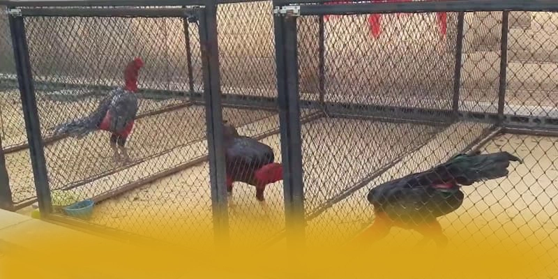 WIN79 - Nền tảng cá cược hào phóng được cộng đồng game thủ yêu thích – Điểm qua WIN79 WIN79 - Nền tảng cá cược hào phóng được cộng đồng game thủ yêu thích – Điểm qua WIN79