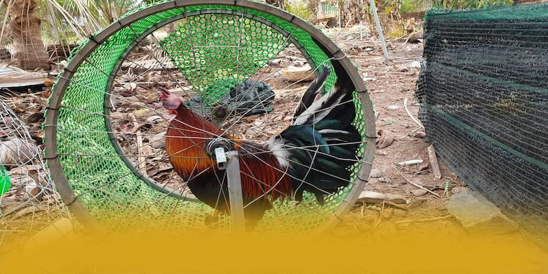 tài xỉu online – Cổng trò chơi phổ biến nhất, được cộng đồng game thủ tin tưởng.